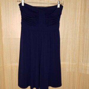 Express Side Zip Blue Strapless Dress XS